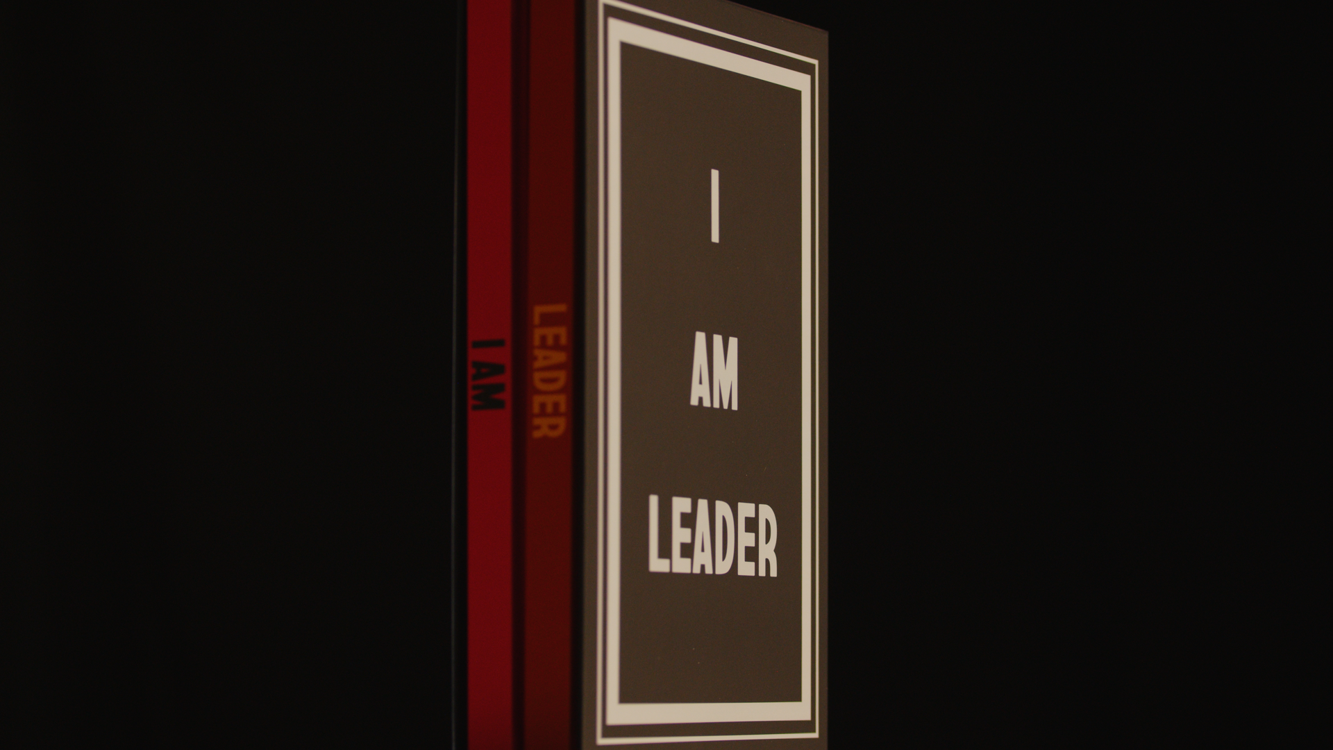 I AM LEADER Book